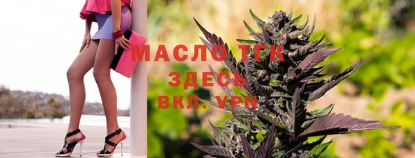 мдпв Бородино