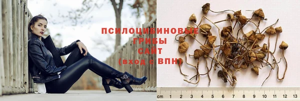 мдпв Бородино