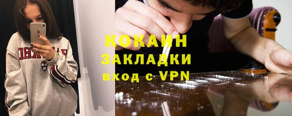 мдпв Бородино