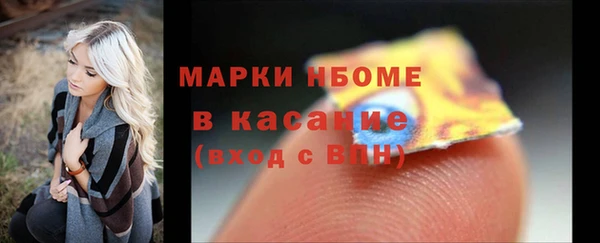 мдпв Бородино