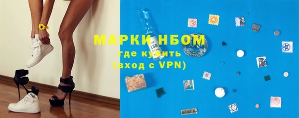мдпв Бородино