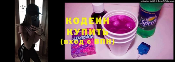мдпв Бородино