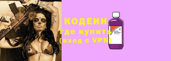 мдпв Бородино