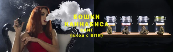 мдпв Бородино