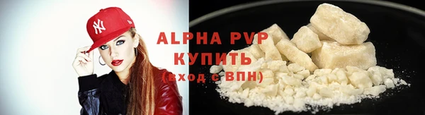 мдпв Бородино