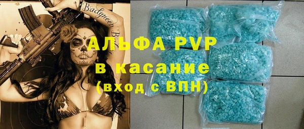 мдпв Бородино