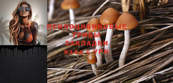 мдпв Бородино