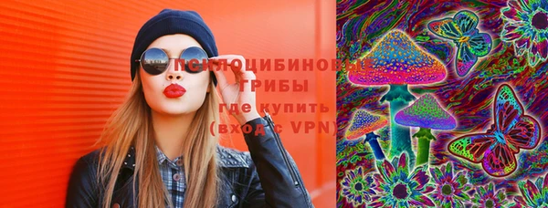 мдпв Бородино