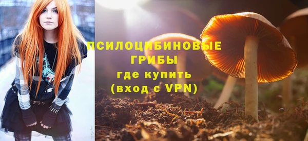 PSILOCYBIN Бронницы