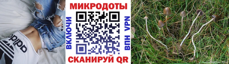 Галлюциногенные грибы мицелий  Купить  Мамоново 